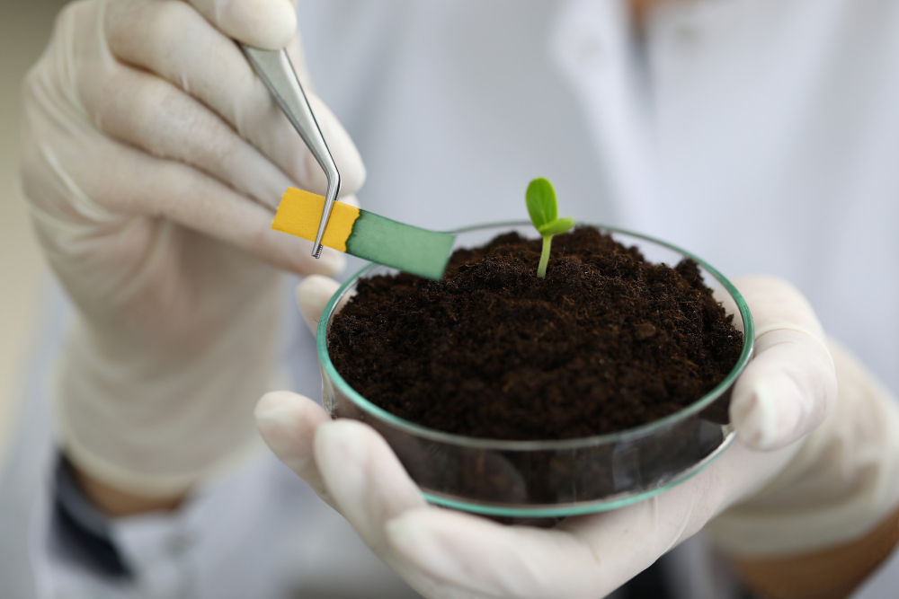 Free Soil & Seed Testing